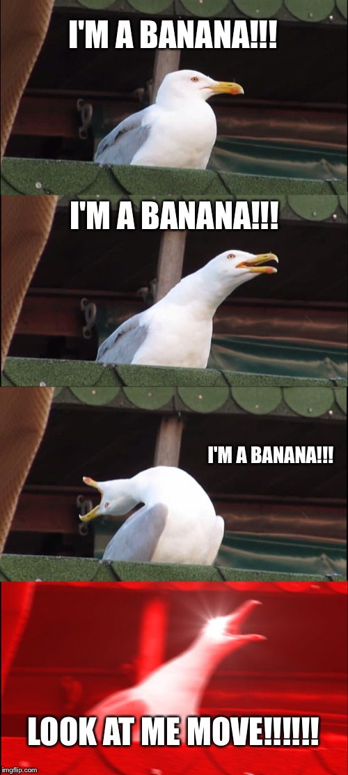 Inhaling Seagull Meme | I'M A BANANA!!! I'M A BANANA!!! I'M A BANANA!!! LOOK AT ME MOVE!!!!!! | image tagged in memes,inhaling seagull | made w/ Imgflip meme maker