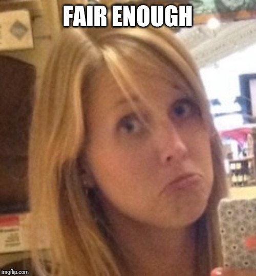 Fair Enough Phyllis | FAIR ENOUGH | image tagged in fair enough phyllis | made w/ Imgflip meme maker