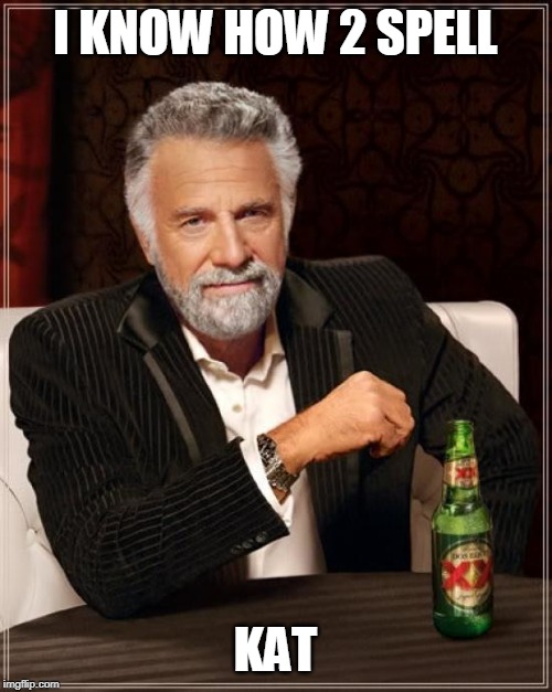 The Most Interesting Man In The World Meme | I KNOW HOW 2 SPELL; KAT | image tagged in memes,the most interesting man in the world | made w/ Imgflip meme maker