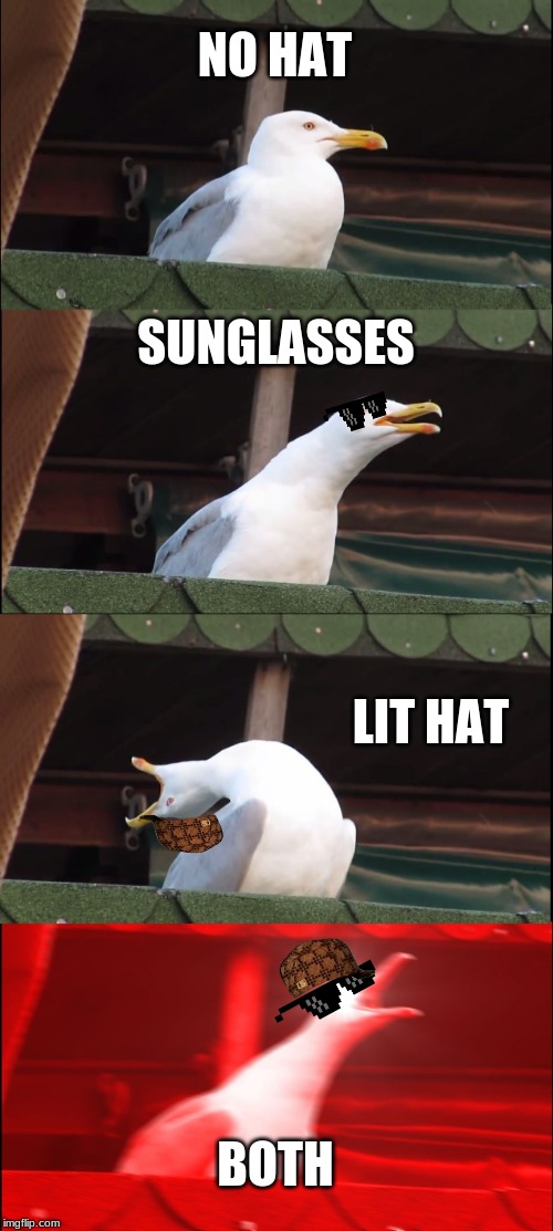 Inhaling Seagull | NO HAT; SUNGLASSES; LIT HAT; BOTH | image tagged in memes,inhaling seagull | made w/ Imgflip meme maker