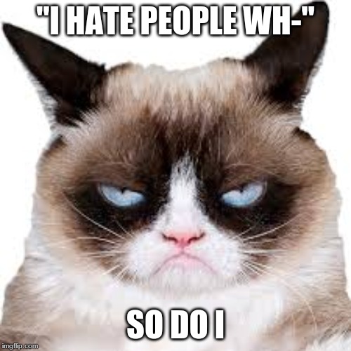 "I HATE PEOPLE WH-"; SO DO I | image tagged in lol,grumpy cat | made w/ Imgflip meme maker