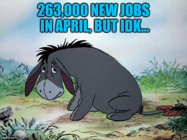 eeyore | 263,000 NEW JOBS IN APRIL, BUT IDK... | image tagged in eeyore | made w/ Imgflip meme maker