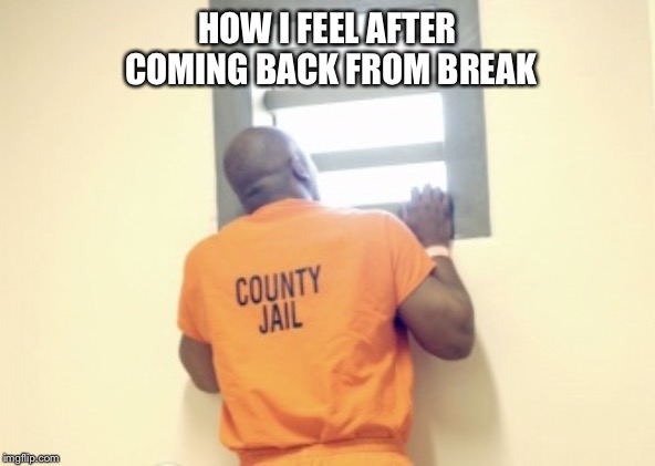 Jail window | HOW I FEEL AFTER COMING BACK FROM BREAK | image tagged in jail window | made w/ Imgflip meme maker