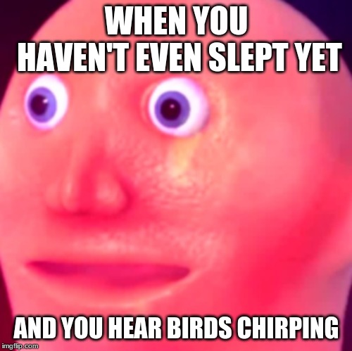 you know you messed up when | WHEN YOU HAVEN'T EVEN SLEPT YET; AND YOU HEAR BIRDS CHIRPING | image tagged in funny memes | made w/ Imgflip meme maker