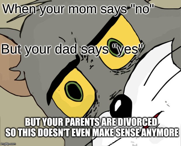 Unsettled Tom | When your mom says "no"; But your dad says "yes"; BUT YOUR PARENTS ARE DIVORCED SO THIS DOESN'T EVEN MAKE SENSE ANYMORE | image tagged in memes,unsettled tom | made w/ Imgflip meme maker