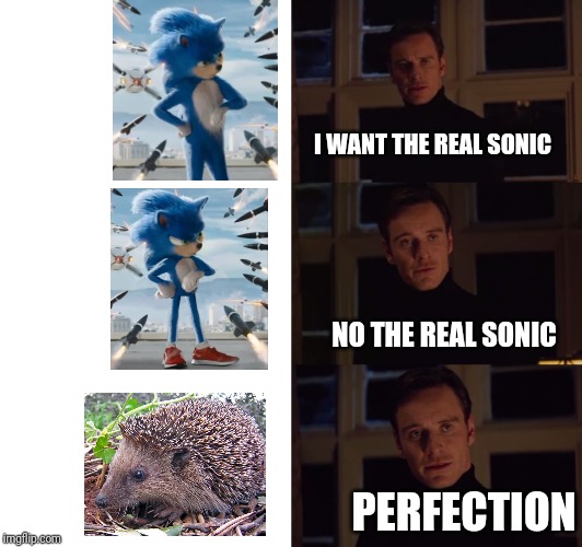 The real Sonic | I WANT THE REAL SONIC; NO THE REAL SONIC; PERFECTION | image tagged in perfection,sonic the hedgehog,cgi,reality,hedgehog | made w/ Imgflip meme maker