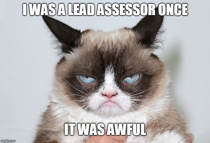 Grumpy Assesor | I WAS A LEAD ASSESSOR ONCE; IT WAS AWFUL | image tagged in work,science | made w/ Imgflip meme maker