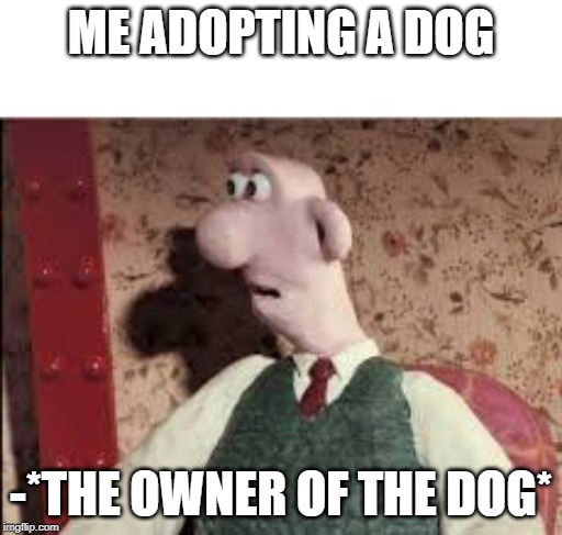 Surprised Wallace | ME ADOPTING A DOG; -*THE OWNER OF THE DOG* | image tagged in surprised wallace,surprise,surprised,memes,funny memes | made w/ Imgflip meme maker
