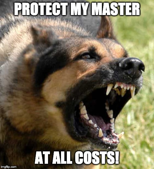 PROTECT MY MASTER; AT ALL COSTS! | made w/ Imgflip meme maker