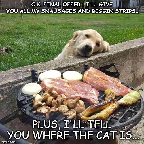 dreaming | O.K. FINAL OFFER... I'LL GIVE YOU ALL MY SNAUSAGES AND BEGGIN STRIPS... PLUS, I'LL TELL YOU WHERE THE CAT IS... | image tagged in dreaming | made w/ Imgflip meme maker