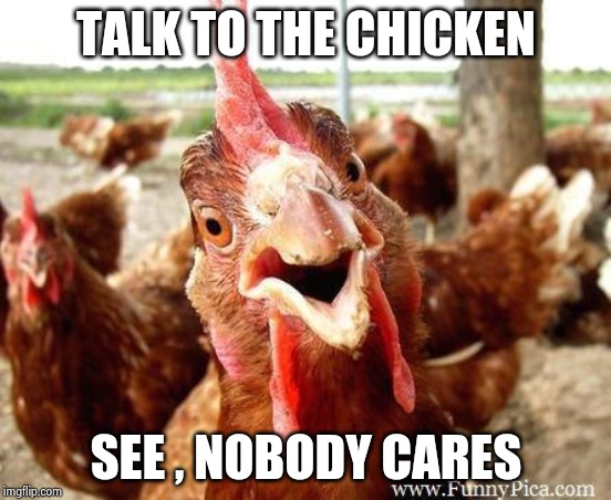 Chicken | TALK TO THE CHICKEN SEE , NOBODY CARES | image tagged in chicken | made w/ Imgflip meme maker