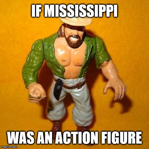 skinner the mississippi action figurine | IF MISSISSIPPI; WAS AN ACTION FIGURE | image tagged in wwe,sports,wrestling,vince mcmahon,triple h,hulk hogan | made w/ Imgflip meme maker