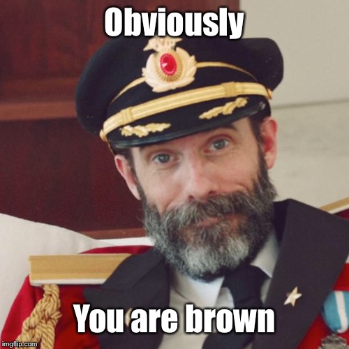 Captain Obvious | Obviously You are brown | image tagged in captain obvious | made w/ Imgflip meme maker