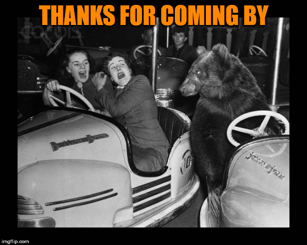 THANKS FOR COMING BY | image tagged in bear driving | made w/ Imgflip meme maker