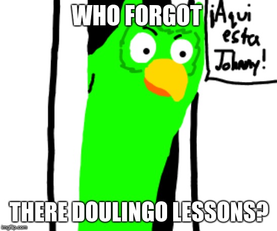 doulingo | WHO FORGOT; THERE DOULINGO LESSONS? | image tagged in doulingo | made w/ Imgflip meme maker