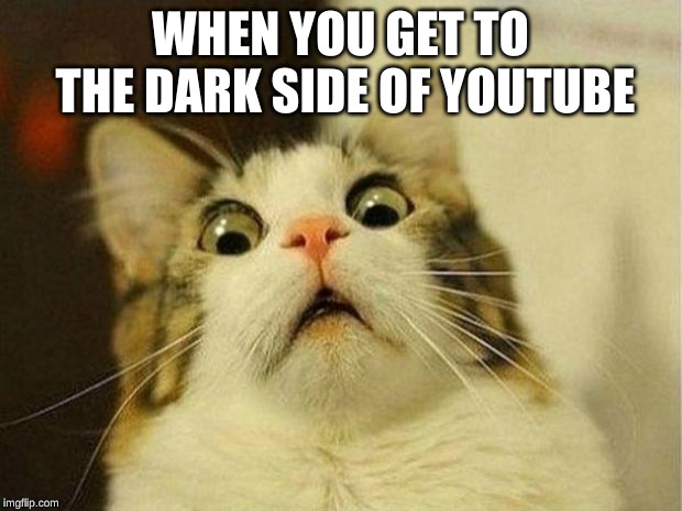 Scared Cat Meme | WHEN YOU GET TO THE DARK SIDE OF YOUTUBE | image tagged in memes,scared cat | made w/ Imgflip meme maker