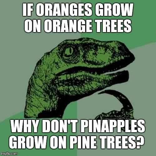 Philosoraptor Meme | IF ORANGES GROW ON ORANGE TREES; WHY DON'T PINAPPLES GROW ON PINE TREES? | image tagged in memes,philosoraptor | made w/ Imgflip meme maker