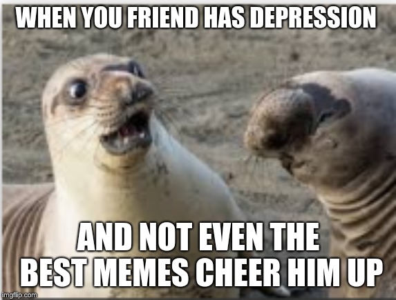 WHEN YOU FRIEND HAS DEPRESSION; AND NOT EVEN THE BEST MEMES CHEER HIM UP | image tagged in memes,depression,seals | made w/ Imgflip meme maker
