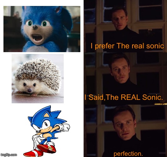 perfection | I prefer The real sonic I Said,The REAL Sonic. perfection. | image tagged in perfection | made w/ Imgflip meme maker