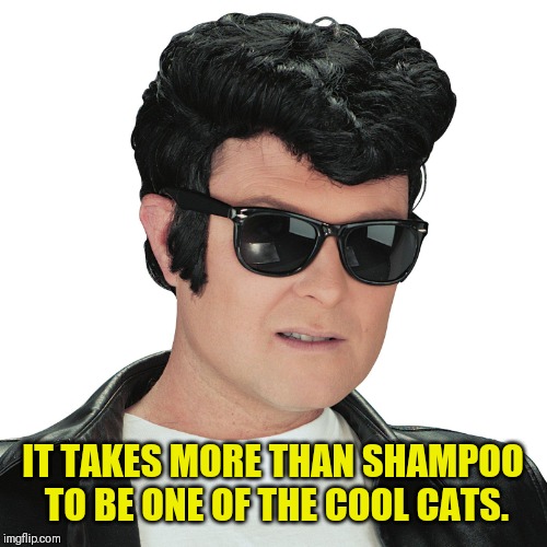 Greaser | IT TAKES MORE THAN SHAMPOO TO BE ONE OF THE COOL CATS. | image tagged in greaser | made w/ Imgflip meme maker