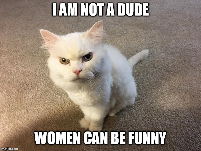 We can be funny sometimes | I AM NOT A DUDE; WOMEN CAN BE FUNNY | image tagged in hate cat,funny meme | made w/ Imgflip meme maker