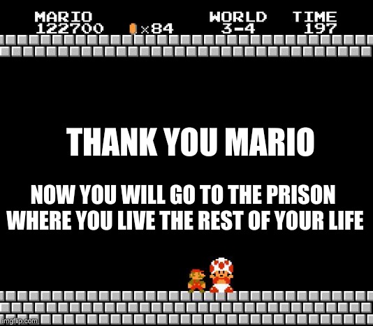 Thank You Mario | THANK YOU MARIO; NOW YOU WILL GO TO THE PRISON WHERE YOU LIVE THE REST OF YOUR LIFE | image tagged in thank you mario | made w/ Imgflip meme maker