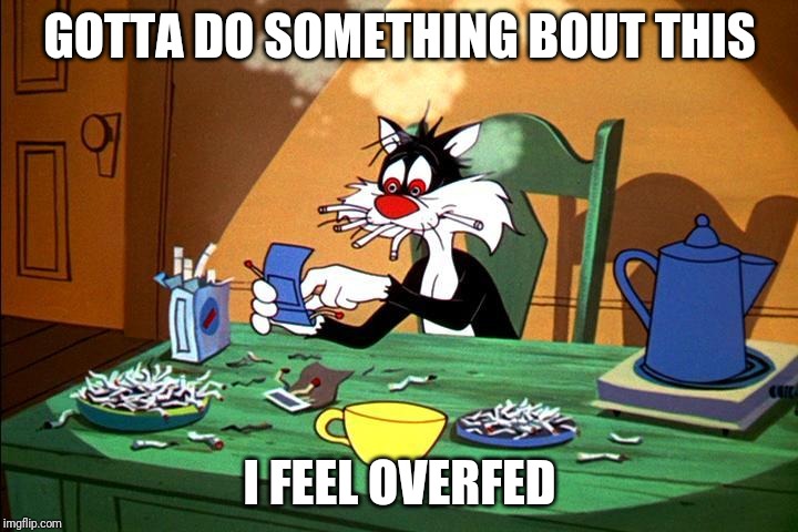 Sylvester Stressed | GOTTA DO SOMETHING BOUT THIS; I FEEL OVERFED | image tagged in sylvester stressed | made w/ Imgflip meme maker