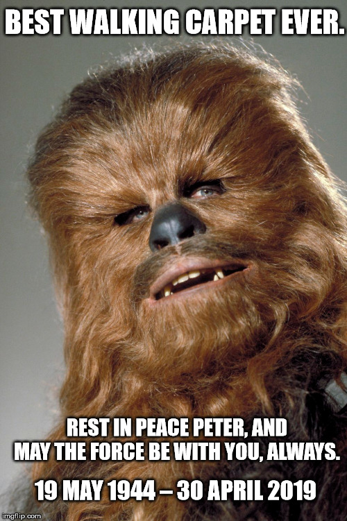 In Loving Memory of the | BEST WALKING CARPET EVER. REST IN PEACE PETER, AND MAY THE FORCE BE WITH YOU, ALWAYS. 19 MAY 1944 – 30 APRIL 2019 | image tagged in star wars,chewbacca,rest in peace,actor,wookie,profile picture | made w/ Imgflip meme maker