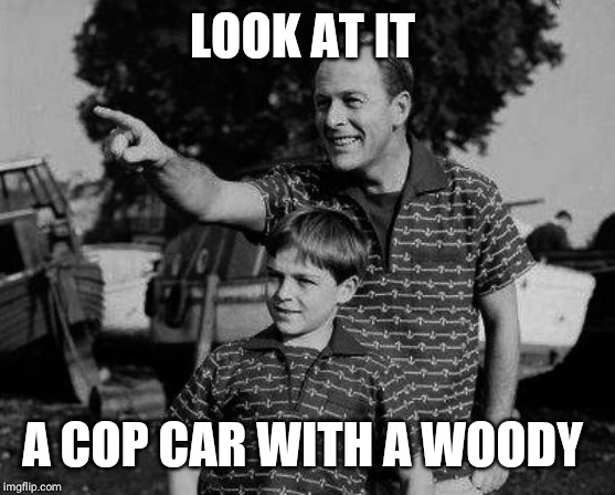 Father and son | LOOK AT IT A COP CAR WITH A WOODY | image tagged in father and son | made w/ Imgflip meme maker