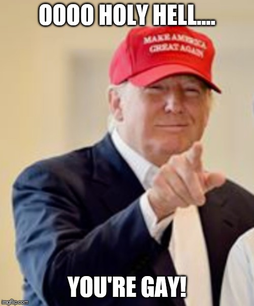 Trump | OOOO HOLY HELL.... YOU'RE GAY! | image tagged in trump | made w/ Imgflip meme maker