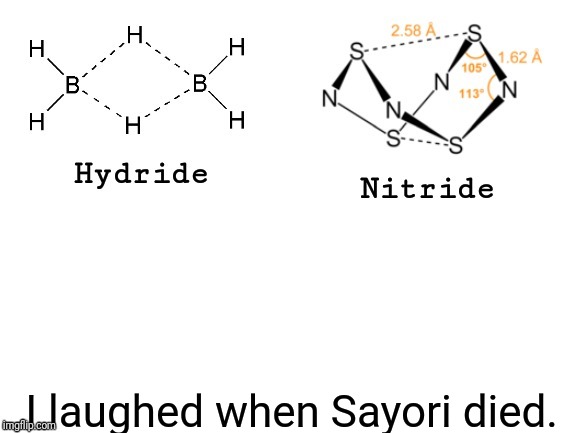 Hydride, Nitride, | I laughed when Sayori died. | image tagged in hydride nitride | made w/ Imgflip meme maker