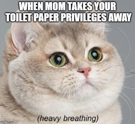 Heavy Breathing Cat | WHEN MOM TAKES YOUR TOILET PAPER PRIVILEGES AWAY | image tagged in memes,heavy breathing cat | made w/ Imgflip meme maker