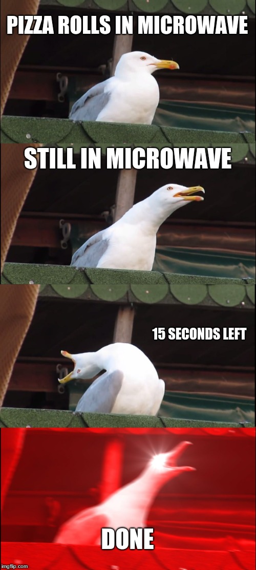 Inhaling Seagull Meme | PIZZA ROLLS IN MICROWAVE; STILL IN MICROWAVE; 15 SECONDS LEFT; DONE | image tagged in memes,inhaling seagull | made w/ Imgflip meme maker