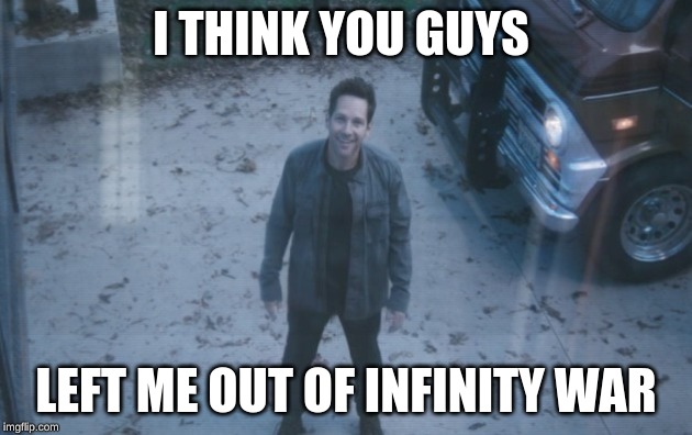 Ant Man (Avengers Endgame) | I THINK YOU GUYS; LEFT ME OUT OF INFINITY WAR | image tagged in ant man avengers endgame | made w/ Imgflip meme maker