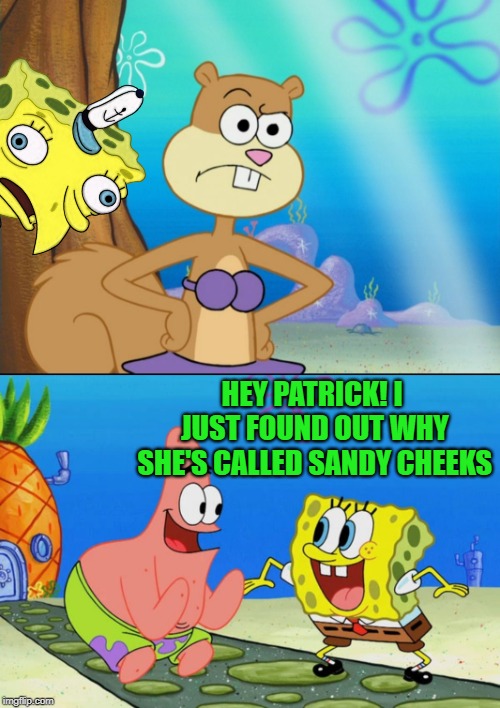 She must've recently been sitting - Spongebob Week! April 29th to May 5th an EGOS production. | HEY PATRICK! I JUST FOUND OUT WHY SHE'S CALLED SANDY CHEEKS | image tagged in sandy cheeks suspicious,spongebob week is here,spongebob week,egos | made w/ Imgflip meme maker
