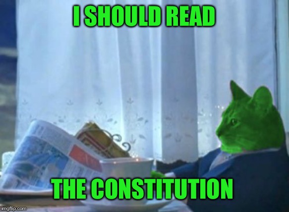 I Should Buy a Boat RayCat | I SHOULD READ THE CONSTITUTION | image tagged in i should buy a boat raycat | made w/ Imgflip meme maker