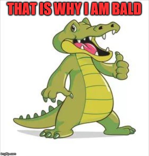 thumbs | THAT IS WHY I AM BALD | image tagged in thumbs | made w/ Imgflip meme maker
