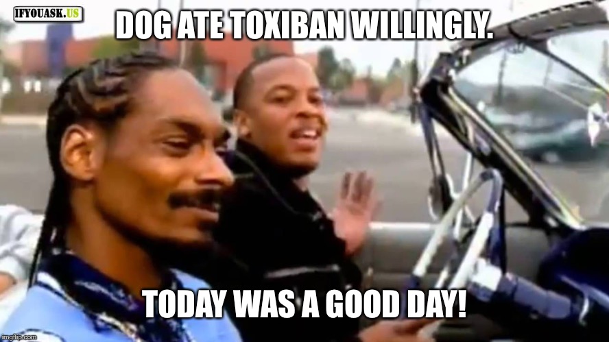 Snoop dog and Dr. dre | DOG ATE TOXIBAN WILLINGLY. TODAY WAS A GOOD DAY! | image tagged in snoop dog and dr dre | made w/ Imgflip meme maker