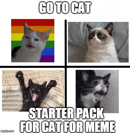 Blank Starter Pack Meme | GO TO CAT; STARTER PACK FOR CAT FOR MEME | image tagged in memes,blank starter pack | made w/ Imgflip meme maker