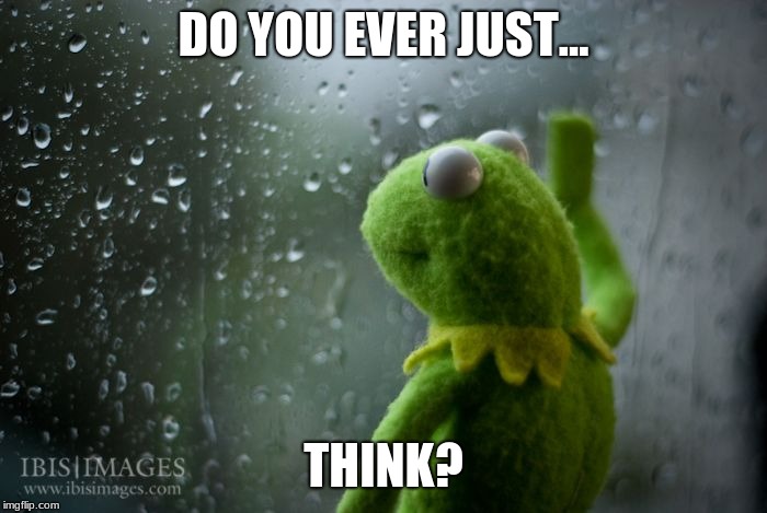 kermit window | DO YOU EVER JUST... THINK? | image tagged in kermit window | made w/ Imgflip meme maker