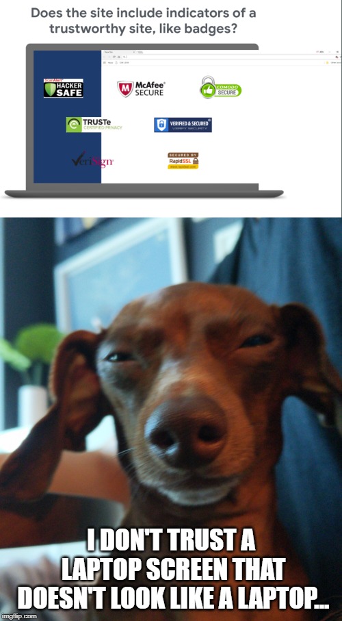 I DON'T TRUST A LAPTOP SCREEN THAT DOESN'T LOOK LIKE A LAPTOP... | image tagged in dachshund suspicion | made w/ Imgflip meme maker