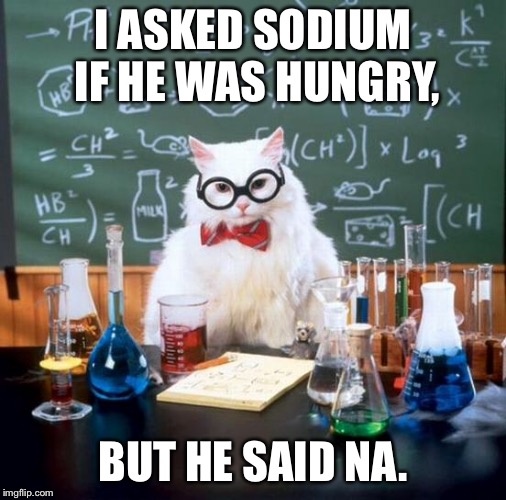 Chemistry Cat | I ASKED SODIUM IF HE WAS HUNGRY, BUT HE SAID NA. | image tagged in memes,chemistry cat | made w/ Imgflip meme maker