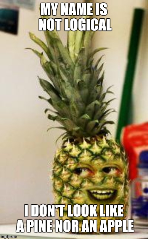 pinapple | MY NAME IS NOT LOGICAL I DON'T LOOK LIKE A PINE NOR AN APPLE | image tagged in pinapple | made w/ Imgflip meme maker