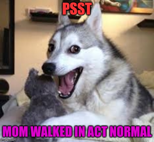 caught | PSST; MOM WALKED IN ACT NORMAL | image tagged in 2019 | made w/ Imgflip meme maker