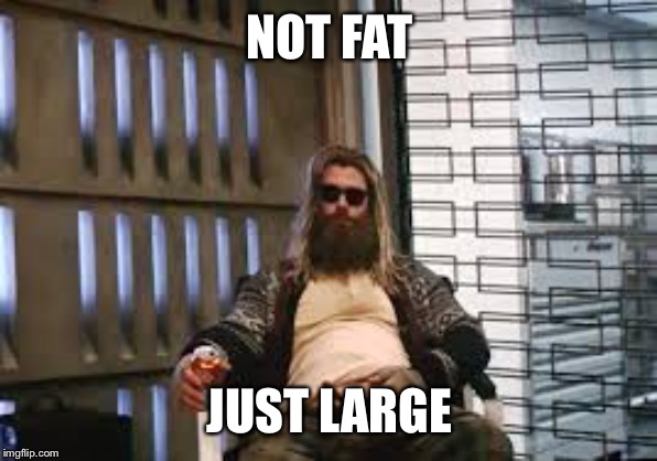 Fat Thor | NOT FAT JUST LARGE | image tagged in fat thor | made w/ Imgflip meme maker