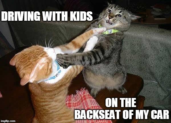 Two cats fighting for real | DRIVING WITH KIDS; ON THE BACKSEAT OF MY CAR | image tagged in two cats fighting for real | made w/ Imgflip meme maker