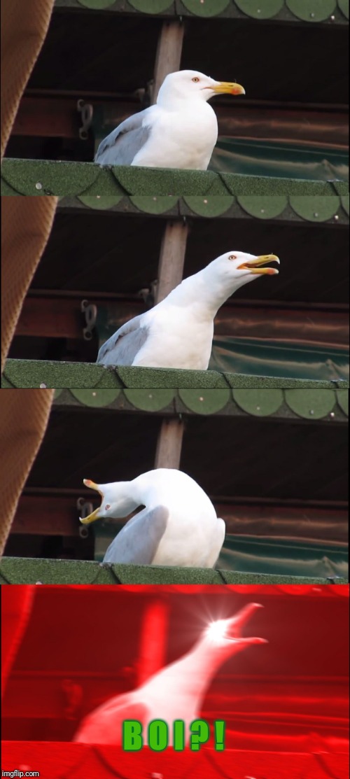 Inhaling Seagull Meme | B O I ? ! | image tagged in memes,inhaling seagull | made w/ Imgflip meme maker