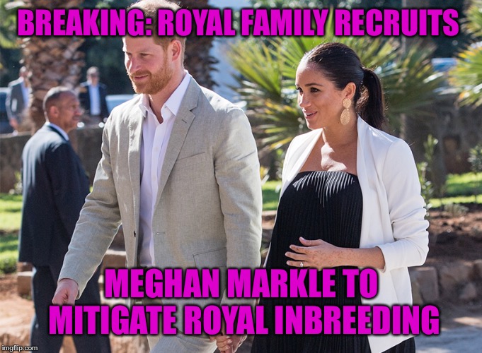 BREAKING: ROYAL FAMILY RECRUITS; MEGHAN MARKLE TO MITIGATE ROYAL INBREEDING | image tagged in royal family | made w/ Imgflip meme maker