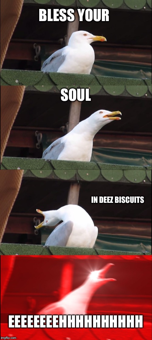 Inhaling Seagull | BLESS YOUR; SOUL; IN DEEZ BISCUITS; EEEEEEEEHHHHHHHHHH | image tagged in memes,inhaling seagull | made w/ Imgflip meme maker