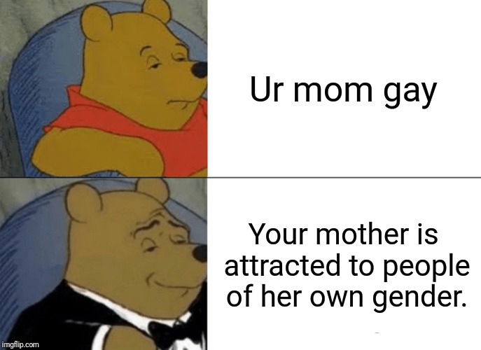 Tuxedo Winnie The Pooh Meme | Ur mom gay; Your mother is attracted to people of her own gender. | image tagged in memes,tuxedo winnie the pooh | made w/ Imgflip meme maker